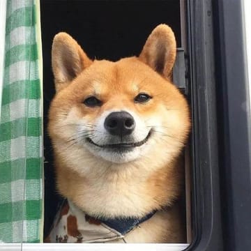 Tư vấn viên